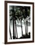 Palm Trees-Philippe Body-Framed Art Print