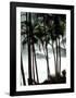 Palm Trees-Philippe Body-Framed Art Print