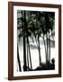 Palm Trees-Philippe Body-Framed Art Print