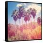 Palm Trees-melking-Framed Stretched Canvas