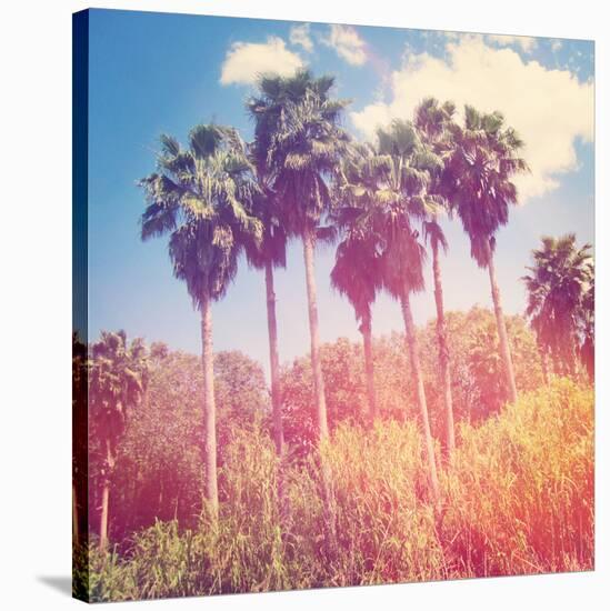 Palm Trees-melking-Stretched Canvas