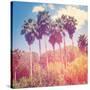 Palm Trees-melking-Stretched Canvas