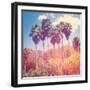 Palm Trees-melking-Framed Photographic Print