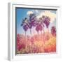 Palm Trees-melking-Framed Photographic Print