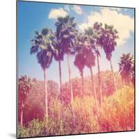 Palm Trees-melking-Mounted Photographic Print