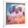 Palm Trees-melking-Framed Photographic Print