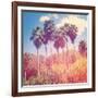 Palm Trees-melking-Framed Photographic Print