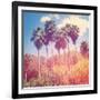 Palm Trees-melking-Framed Photographic Print