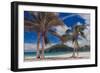 Palm Trees-Matias Jason-Framed Photographic Print