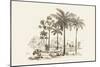 Palm Trees-Baron De Montalemert-Mounted Art Print