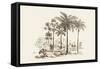 Palm Trees-Baron De Montalemert-Framed Stretched Canvas