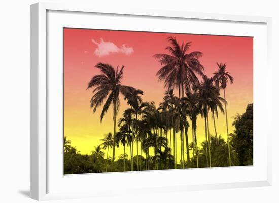 Palm Trees-Mark Ashkenazi-Framed Giclee Print