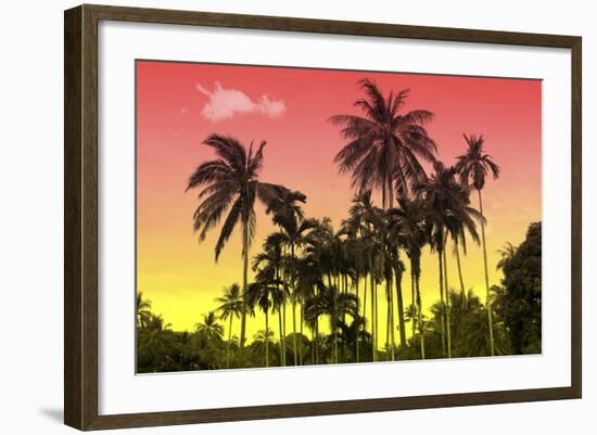 Palm Trees-Mark Ashkenazi-Framed Giclee Print