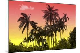 Palm Trees-Mark Ashkenazi-Mounted Giclee Print