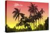 Palm Trees-Mark Ashkenazi-Stretched Canvas