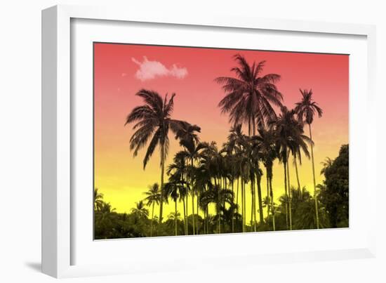 Palm Trees-Mark Ashkenazi-Framed Giclee Print