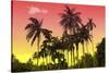 Palm Trees-Mark Ashkenazi-Stretched Canvas