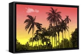 Palm Trees-Mark Ashkenazi-Framed Stretched Canvas