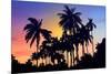 Palm Trees-Mark Ashkenazi-Mounted Giclee Print