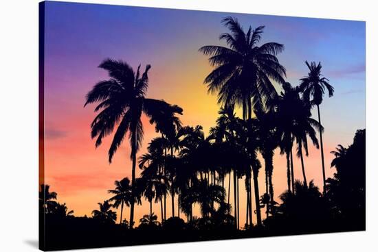 Palm Trees-Mark Ashkenazi-Stretched Canvas