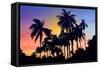 Palm Trees-Mark Ashkenazi-Framed Stretched Canvas