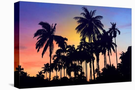 Palm Trees-Mark Ashkenazi-Stretched Canvas