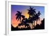 Palm Trees-Mark Ashkenazi-Framed Giclee Print