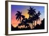 Palm Trees-Mark Ashkenazi-Framed Giclee Print