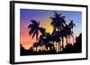 Palm Trees-Mark Ashkenazi-Framed Giclee Print