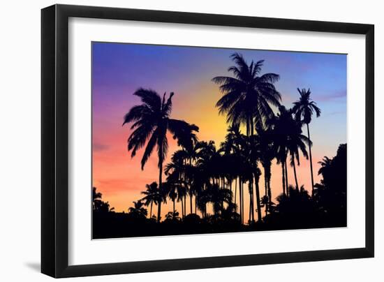 Palm Trees-Mark Ashkenazi-Framed Giclee Print