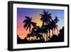 Palm Trees-Mark Ashkenazi-Framed Giclee Print