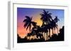 Palm Trees-Mark Ashkenazi-Framed Giclee Print