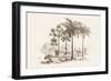 Palm Trees-Baron De Montalemert-Framed Art Print