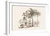 Palm Trees-Baron De Montalemert-Framed Art Print
