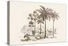 Palm Trees-Baron De Montalemert-Stretched Canvas