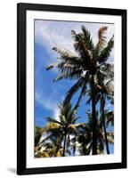 Palm Tress and Blue Sky-Raul Rosa-Framed Photographic Print