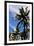 Palm Tress and Blue Sky-Raul Rosa-Framed Photographic Print