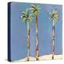 Palm Trio One-Jan Weiss-Stretched Canvas