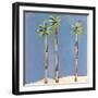 Palm Trio One-Jan Weiss-Framed Art Print