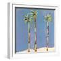 Palm Trio One-Jan Weiss-Framed Art Print