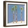 Palm Trio One-Jan Weiss-Framed Art Print