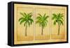 Palm Trio-Julie DeRice-Framed Stretched Canvas