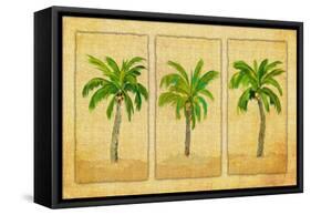 Palm Trio-Julie DeRice-Framed Stretched Canvas