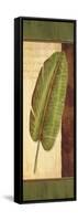 Palm Tropic Panel II-Delphine Corbin-Framed Stretched Canvas