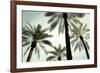 Palm Two-West-Framed Giclee Print