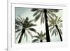 Palm Two-West-Framed Giclee Print