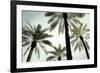 Palm Two-West-Framed Giclee Print