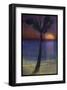 Palm Variation II-Chris Vest-Framed Art Print