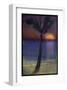 Palm Variation II-Chris Vest-Framed Art Print