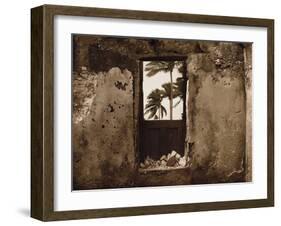 Palm View I-C^ J^ Groth-Framed Giclee Print